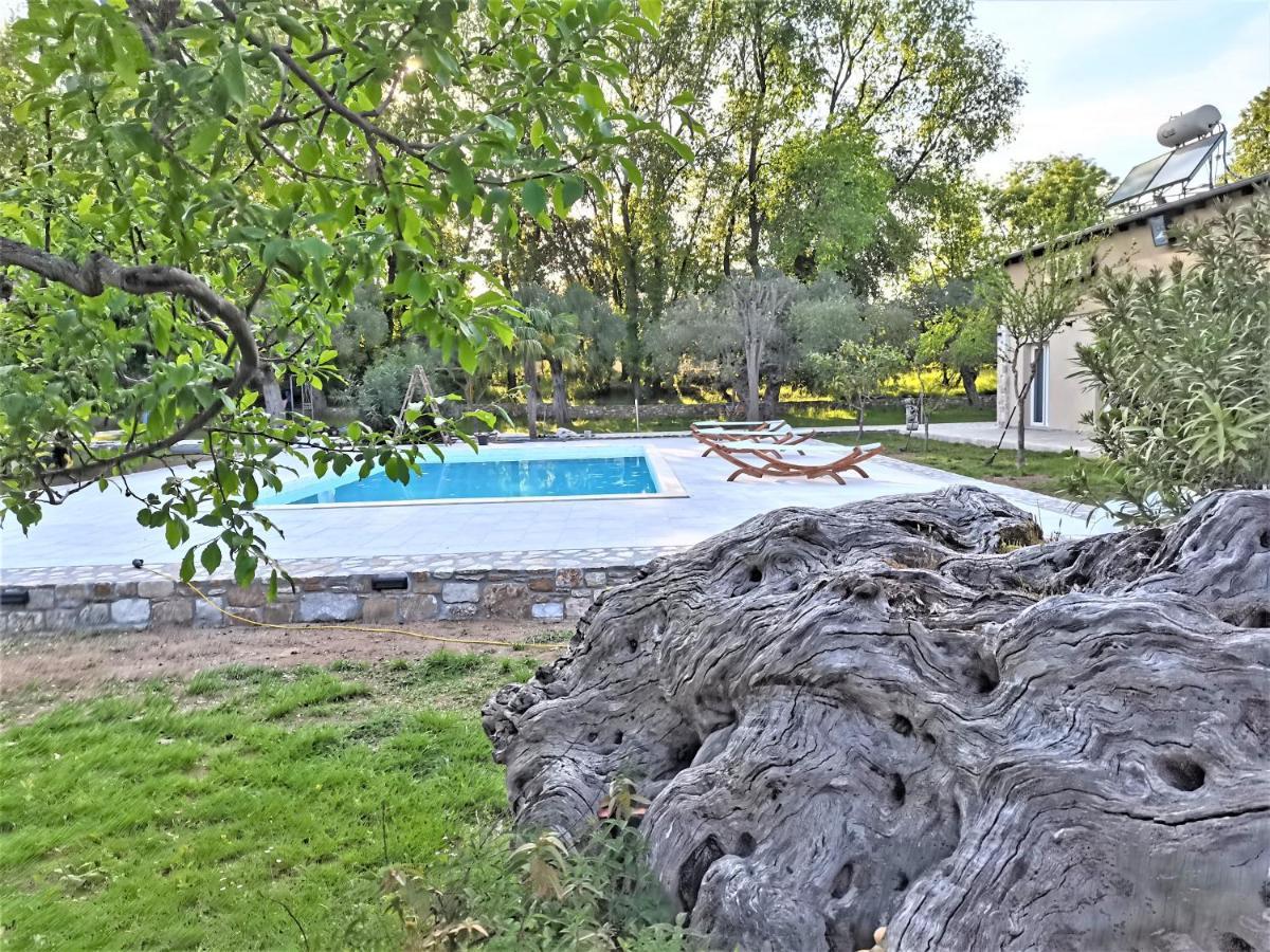 Natura Bungalows-Villa Thásos Exterior foto